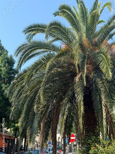 view of the sea and mountains
