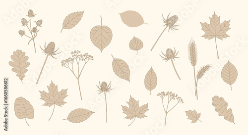 Delicate Autumnal Sketches Seamless Botanical Pattern For Textile Decoration