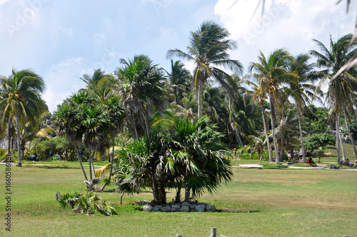 Tulum- Jaguar park 