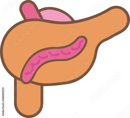 Stylized Illustration of the Pancreas Organ with Detailed Ducts and Lobes for Medical Education and Awareness Campaigns
