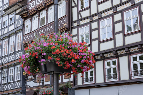Konstfotografi Colorful hanging flower basket with blooming red and purple geraniums in front o
