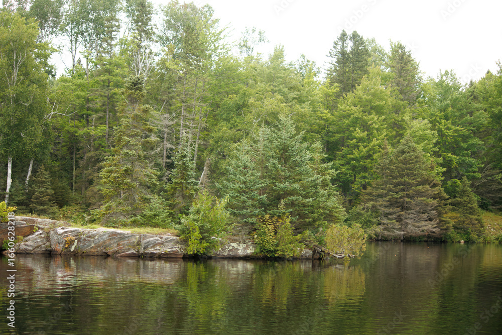 Fototapeta premium lake in the forest