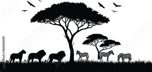 African savanna wildlife silhouette with lions, zebras, birds, and acacia trees, perfect for safari, nature, jungle, vector artwork