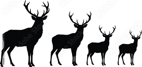 Deer silhouette vector illustration set, wild stag with antlers, forest animal design, black wildlife graphic, nature hunting clipart