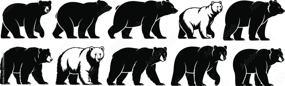 Fototapeta premium Bear illustration collection, wildlife animal sketches, black and white bear drawings, detailed fur texture, walking and standing poses, artistic vector wildlife design