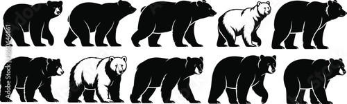 Bear illustration collection, wildlife animal sketches, black and white bear drawings, detailed fur texture, walking and standing poses, artistic vector wildlife design
