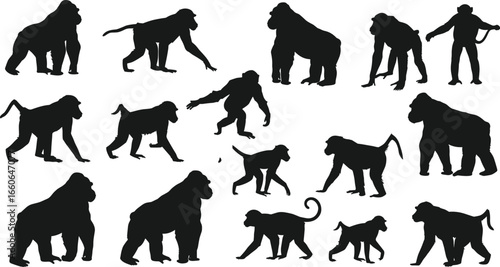 Monkey, gorilla, chimpanzee, baboon silhouette collection, wild animal vector illustration, walking jumping sitting pose, wildlife art, editable design