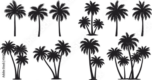 Palm tree silhouette vector set, tropical plant illustrations, summer beach elements, exotic nature design, for decoration, print, or digital use