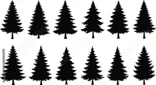 Vector pine tree silhouettes, evergreen tree set, forest elements for nature design, black fir tree collection, conifer vector illustration pack