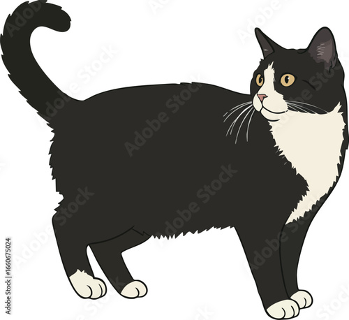 Black and white cat standing looking sideways vector illustration with yellow eyes 
