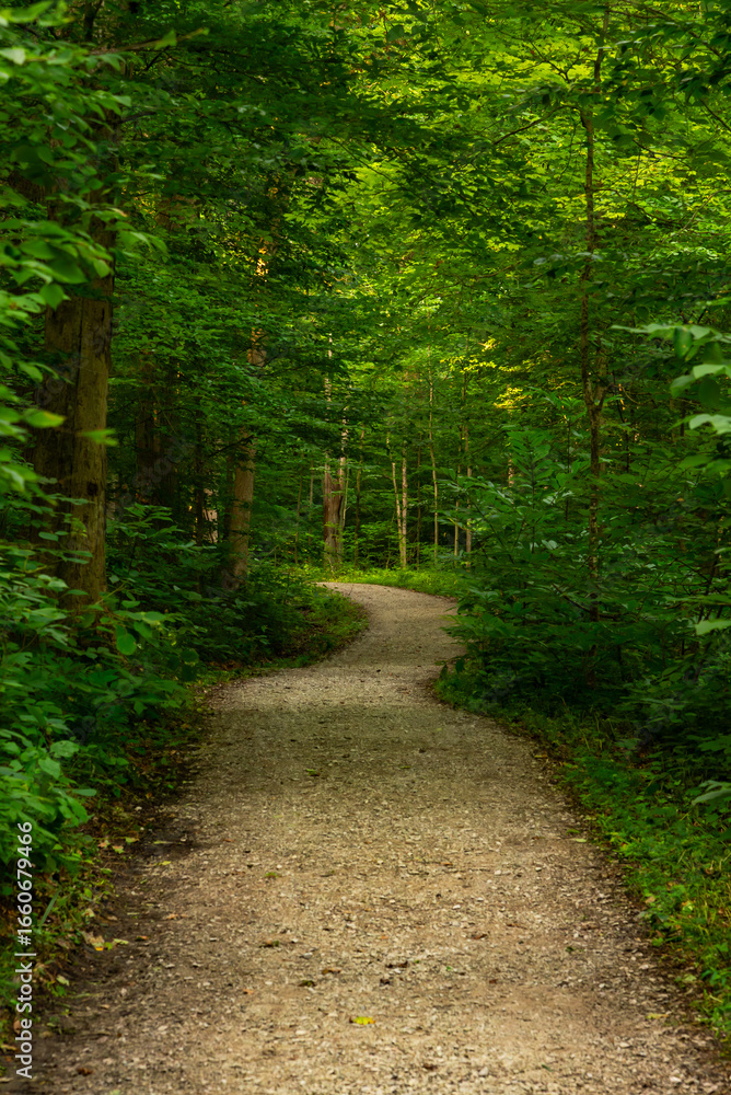 Obraz premium Hiking Trail