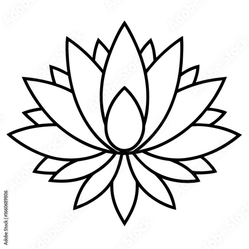 Haloed Lotus Vector
