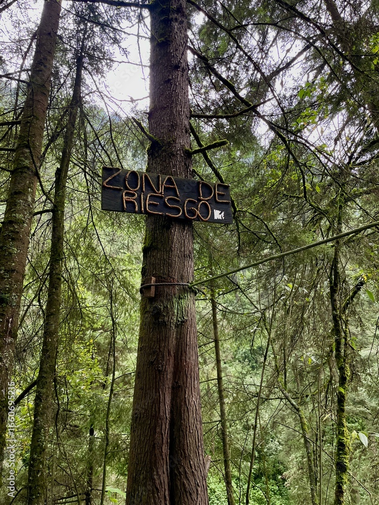 Fototapeta premium Mountain forest in the rainy day