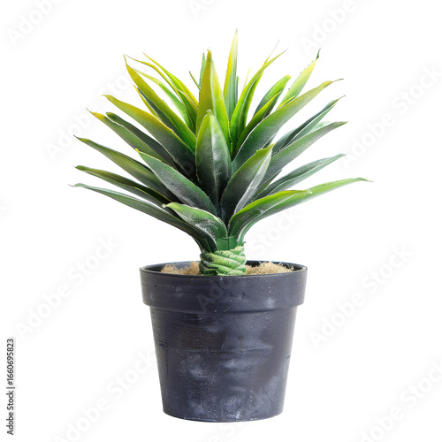 Wallpaper Mural Small artificial agave plant in dark gray pot Torontodigital.ca