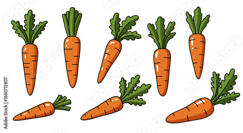 Set of vector illustrations of fresh carrots with green tops, perfect for various design projects, available in PNG format for easy integration into your work.  These vibrant images are ideal for
