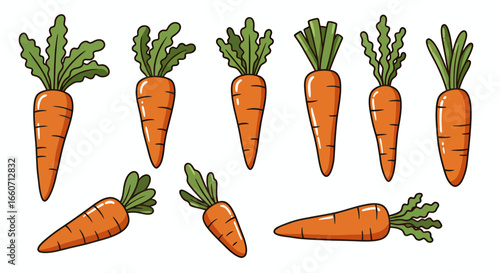 Set of vector illustrations of fresh carrots with green tops, perfect for various design projects, including food packaging, children's books, and healthy lifestyle publications.  Download this