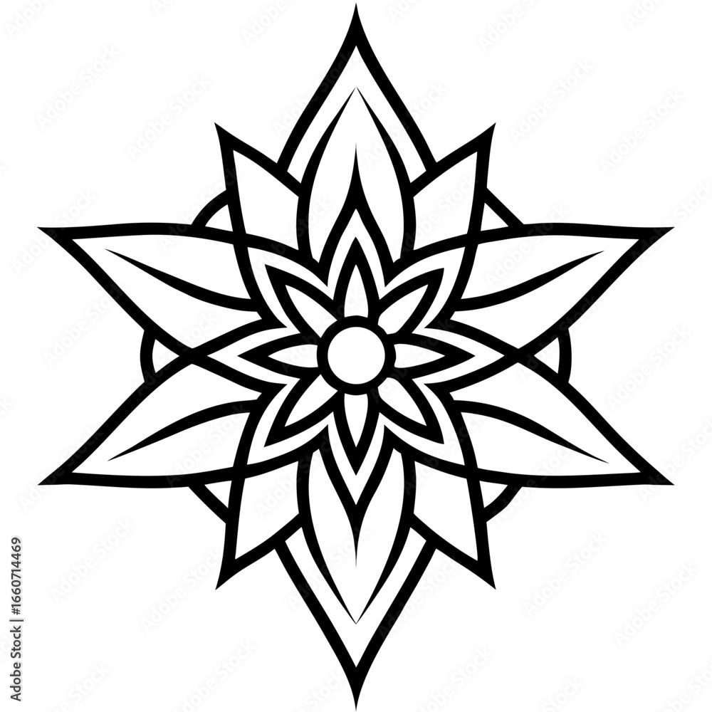 Obraz premium Blossom Star Motif Vector