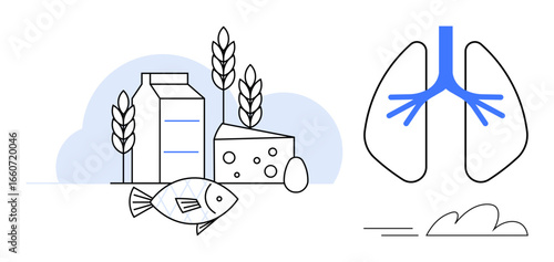 Dairy, fish, grains, cheese, egg positioned as food sources alongside stylized lungs. Ideal for nutrition, respiratory health, food benefits, healthy living dietary topics wellness education