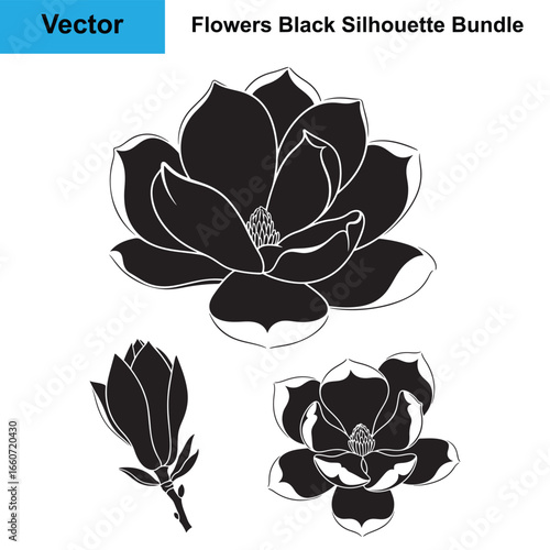 Elegant Magnolia Flower and Bud Silhouette Icon Collection