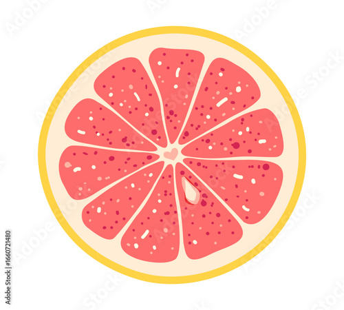 Fresh orange fruit circle slice in flat style. Isolated design element on white background..Vector illustration for packaging design of cosmetics and food.