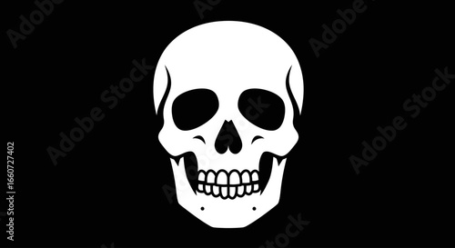 An Iconic Black and White Skull Emblem Design Conveying Danger Death and Maritime Adventure