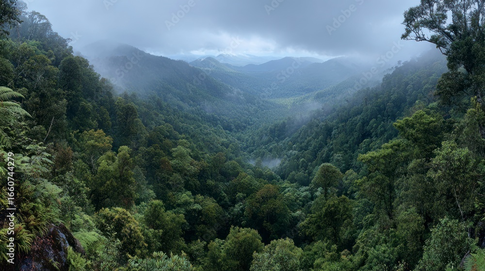 Fototapeta premium Misty valley viewpoint from high ground