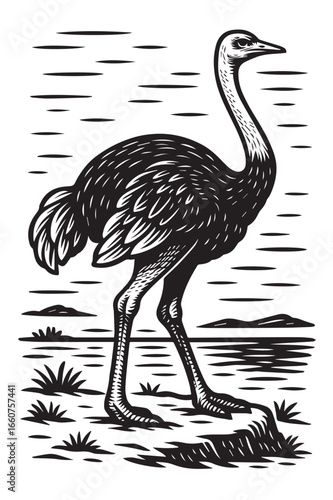 Bold Ostrich in Linocut Woodcut Print Style