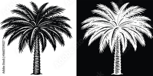 Stunning silhouette of a tropical palm tree in black and white, perfect for vacation and travel designs.