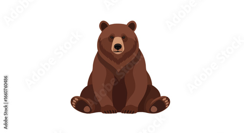 Brown bear sitting with serious expression isolated on white background for wildlife design projects, children's illustrations and educational