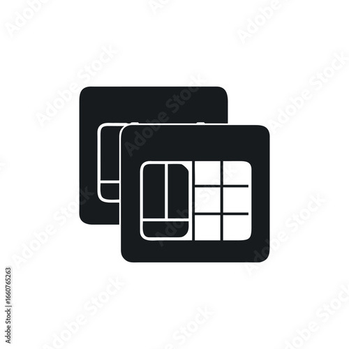 Dual SIM Card Icon Vector