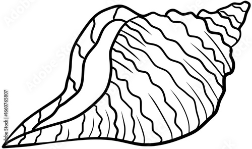 Horse Conch Vector Outline Line Art Drawing