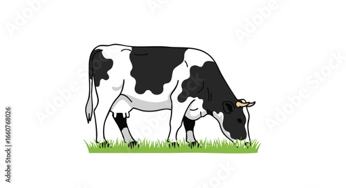 Black and white dairy cow grazing serenely in a lush pasture: a charming agricultural scene depicted in a cartoon style illustration