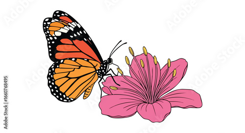 Vibrant Monarch Butterfly on Pink Blossom: A Delicate Dance of Nature and Beauty, Illustrative depiction of lepidopteran pollinating a flower