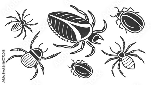 Set of hand drawn insects, vintage beetles and spiders collection, decorative design elements for halloween or zoology projects, vector illustration
