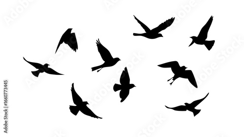 A flock of birds flying in the sky, vector illustration for freedom concept or tattoo design, silhouette of bird migration
