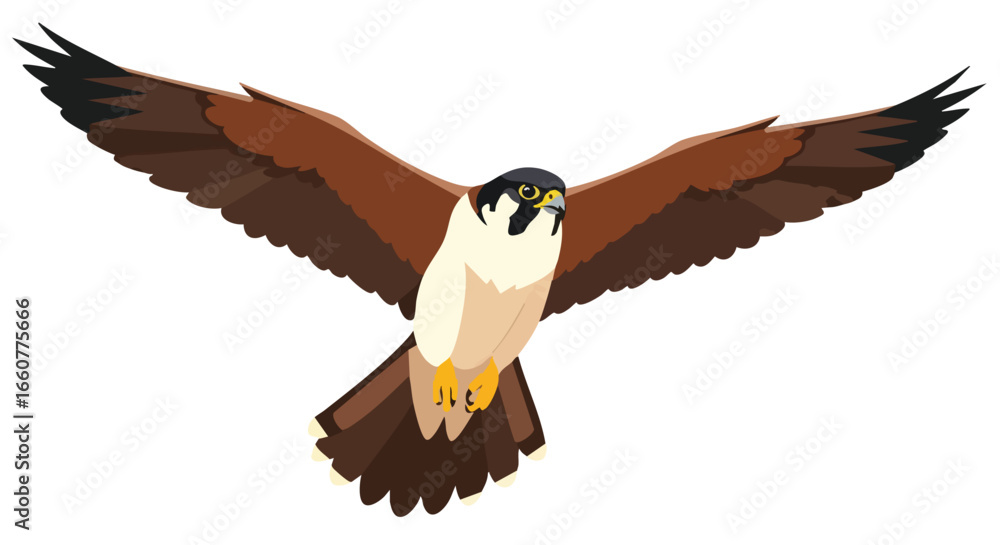 Fototapeta premium A falcon soars with majestic wings, captured in flight against a seamless backdrop, a symbol of grace and power in the animal kingdom