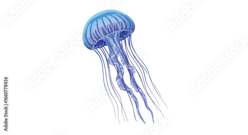 Isolated blue jellyfish illustration with long tentacles on a white background, perfect for educational materials