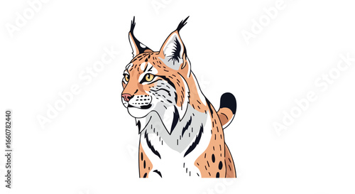 Stylized illustration of a lynx with distinctive tufted ears and patterned fur on a clear background