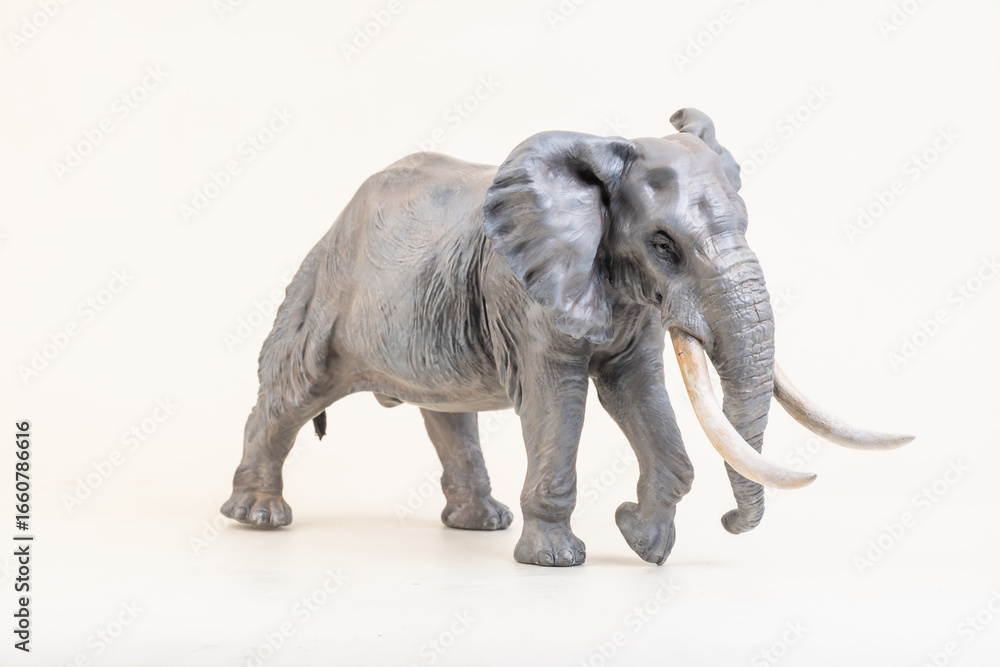 Fototapeta premium African elephant on isolated background
