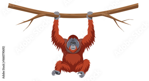 Orangutan clinging to a branch, symbolizing wildlife in natural habitat with bright coloring and simplified design, isolated on white for