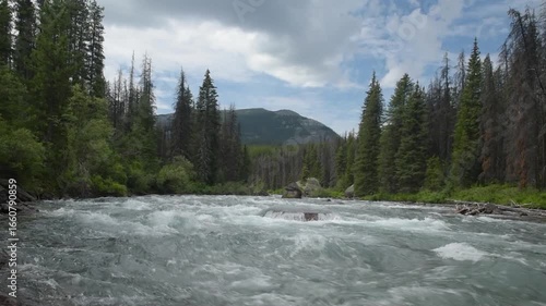 Mountain River Rapids in Conifer Forest, Overcast Sky