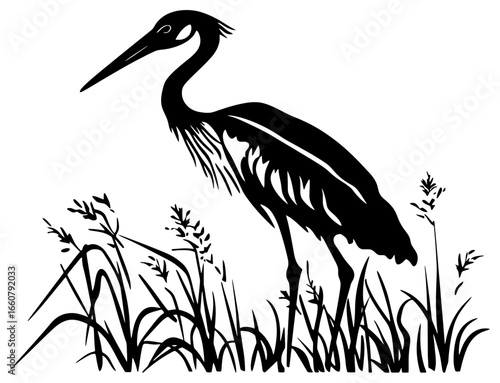 Stork Silhouette Standing Tall in Reeds