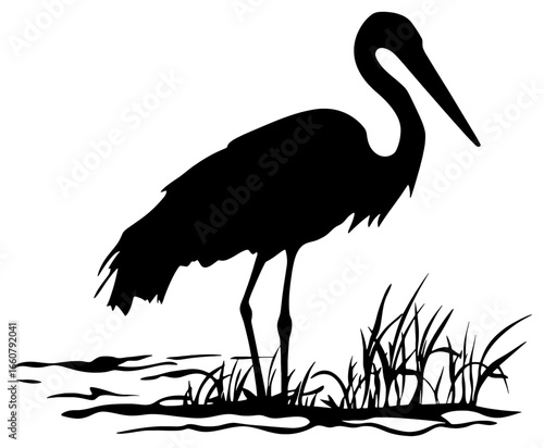 Stork Silhouette Standing Tall in Reeds