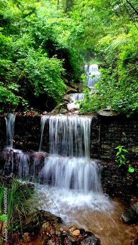 waterfall in the forest
