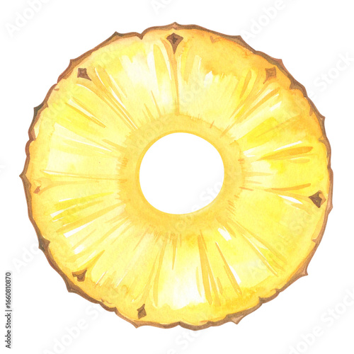 Watercolor Pineapple Slice with Yellow and Brown Edges Isolated.
