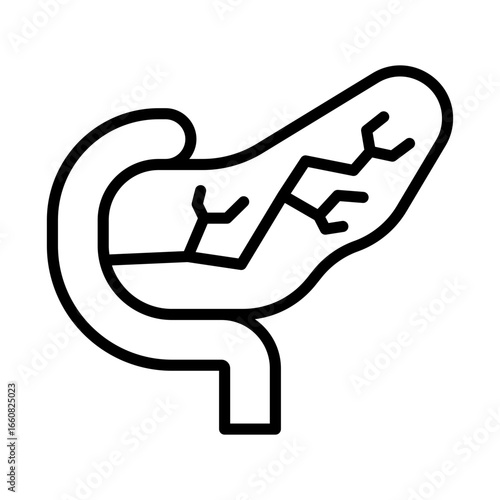Pancreas