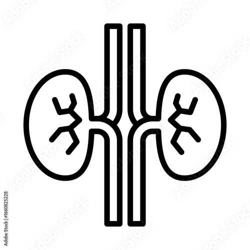 Kidneys