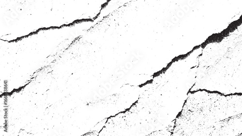 Abstract High Contrast Black White Cracked Surface Texture Vector