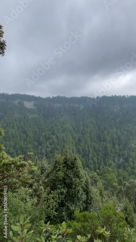 Mountain landscape with trees in rainy day