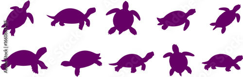 Silhouette of tortoise 